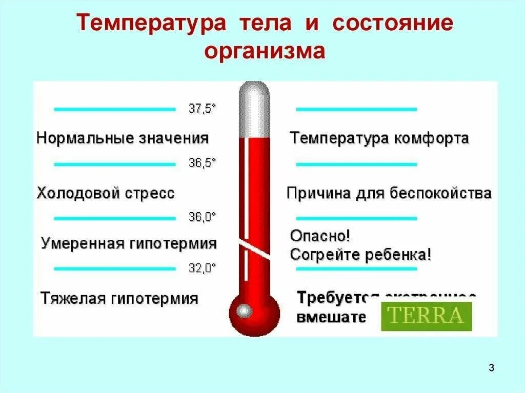5 дней поднимается температура у ребенка. Низкая температура тела. самая низкая температура здорового человека. причины температуры. плохая температура.
