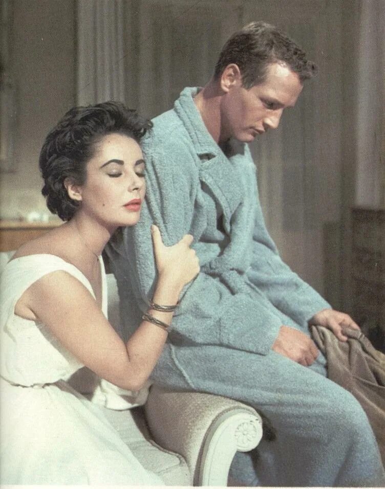 Кошка на раскаленной крыше краткое содержание. Кошка на раскаленной крыше фильм 1958. Кошка на раскаленной крыше. Брик из кошки на раскаленной крыше. Теннесси уильямс кошка на раскаленной крыше.