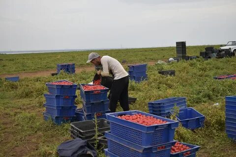 Грунт волгоград