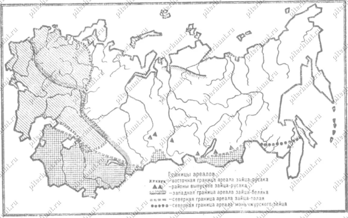 Ареал обитания зайца беляка. Ареал обитания зайца русака. Ареал обитания зайца русака. Ареал обитания зайца беляка. Ареал обитания зайца беляка.