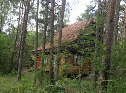 Турбаза куршская коса