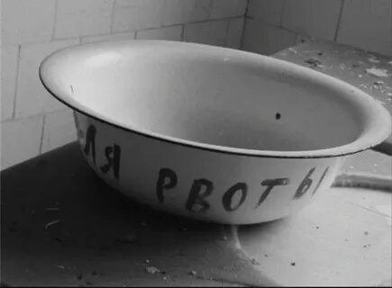 Тесік фотосындағы үлкен әтештер