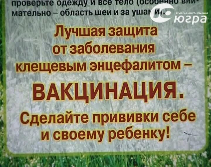 После прививки клещевого энцефалита можно мыться. Клещевой энцефалит прививка. Объявление о вакцинации против клещевого энцефалита. Клещевой энцефалит прививки. Прививки от клещевого энцефалита объявление.