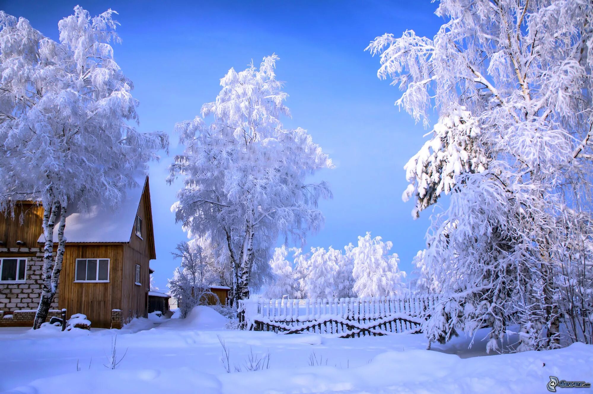 Снежная зима к какому лету. Красивая зима. Зима пейзаж. Зимняя деревня. Зима в деревне.