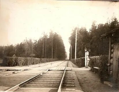 Москва царское село железная дорога