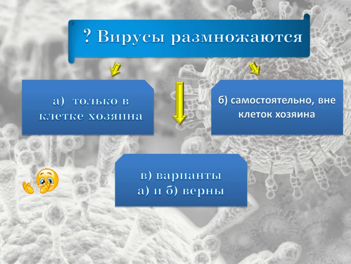 Вирусы способны размножаться только в живых клетках. Вирусы размножаются. Вирусы размножаются только. Вирусы размножаются самостоятельно вне клетки. Вирусы размножаются самостоятельно вне клетки хозяина.