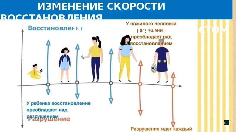 Смена скорости. Иммунитет как меняется в течение жизни человека.