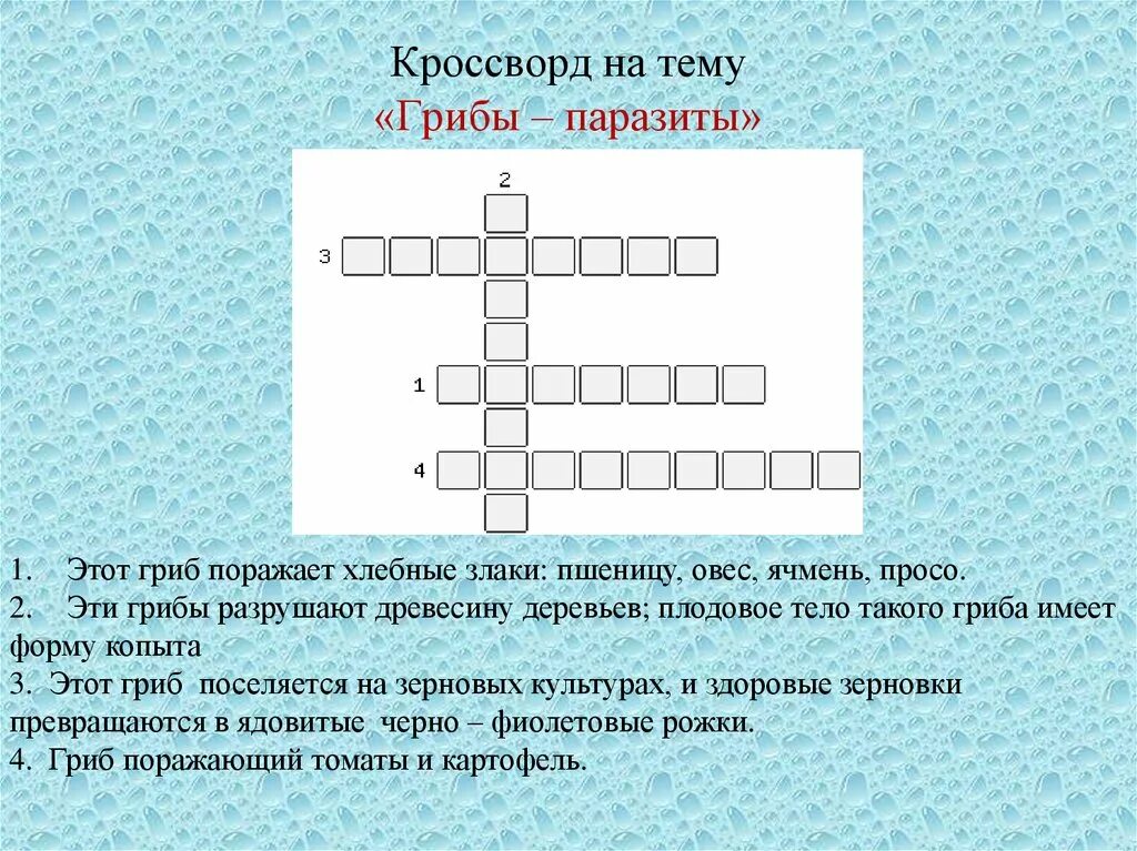 Кроссворд на тему растительные сообщества