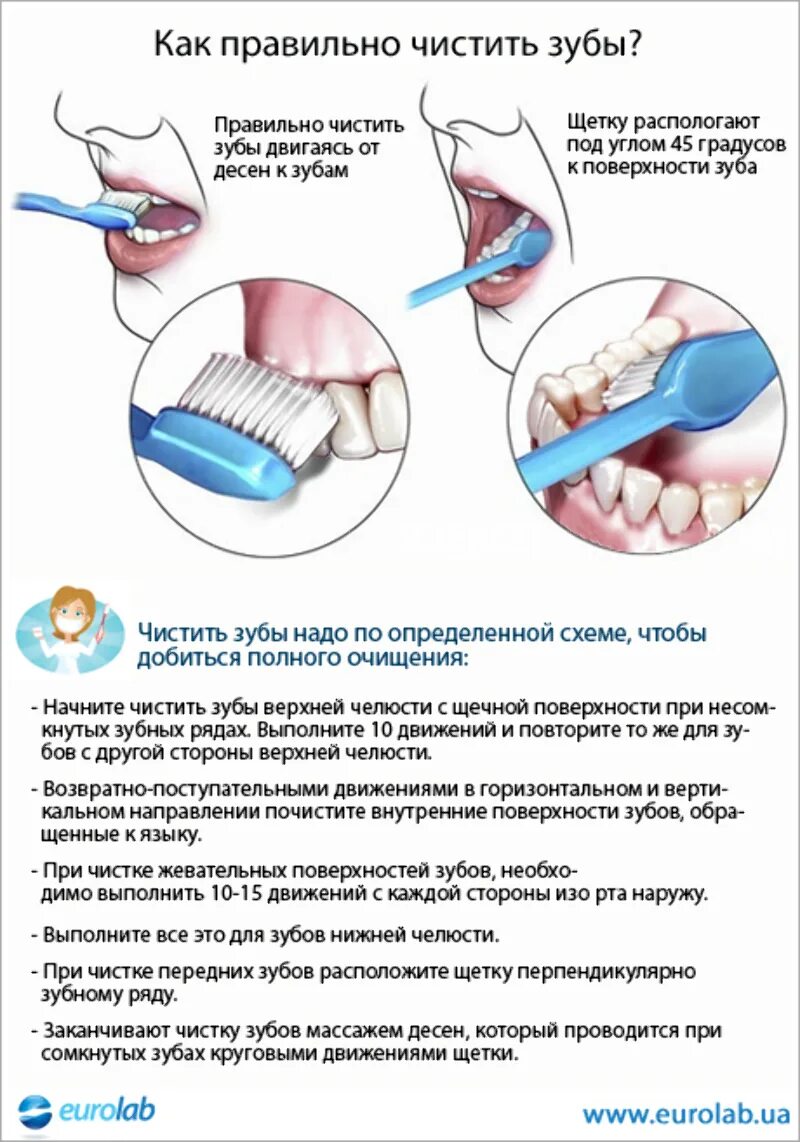 Показать стрелками как следует двигать зубной щеткой