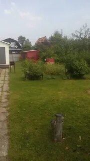 Снт энергия московская область