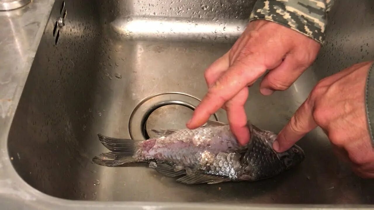 Чистка рыбы шуруповертом. Лайфхак как почистить рыбу. Терка для чистки рыбы. Приспособы для чистки рыбы от чешуи. Чистить рыбу кипятком.