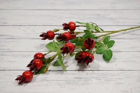 Шиповник реклама