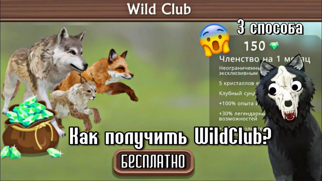 Вилд крафт много денег и кристаллов. Вилд крафт. WILDCRAFT мемы. WILDCRAFT клуб. WILDCRAFT подписка.