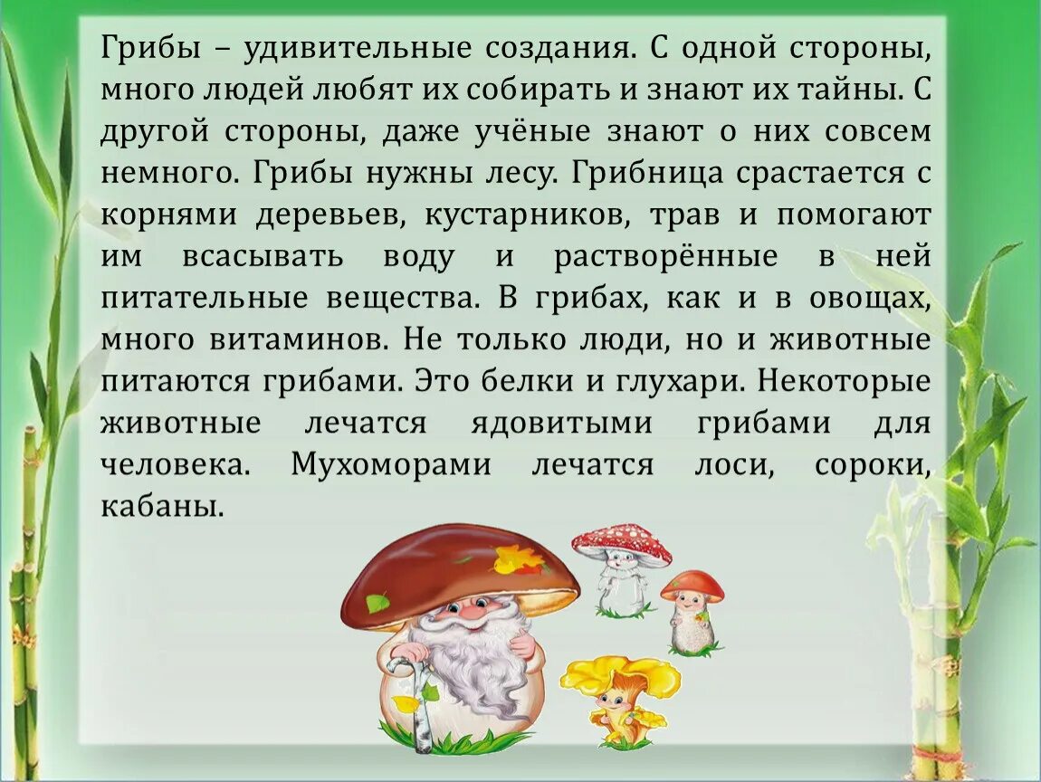 Грибы это удивительное царство. Грибы - удивительные создания. Сочинение грибы это удивительное царство. Сочинение на тему грибы.