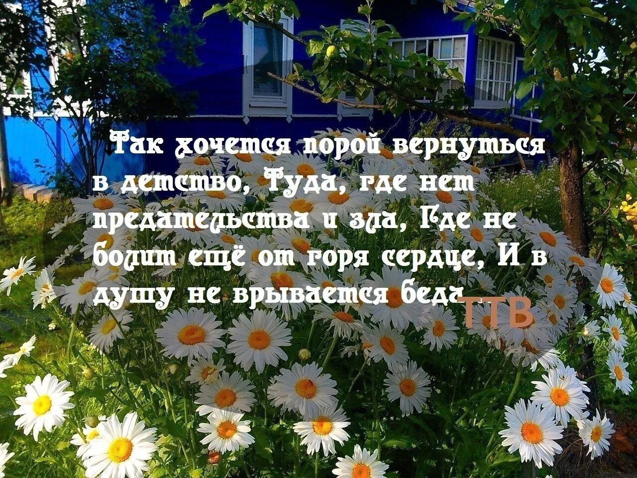 Я бы жил в этом лете. Стихи о деревне летней. Высказывания о родной деревне. Открытка вернуться в детство. Вернуться в детство стихи.