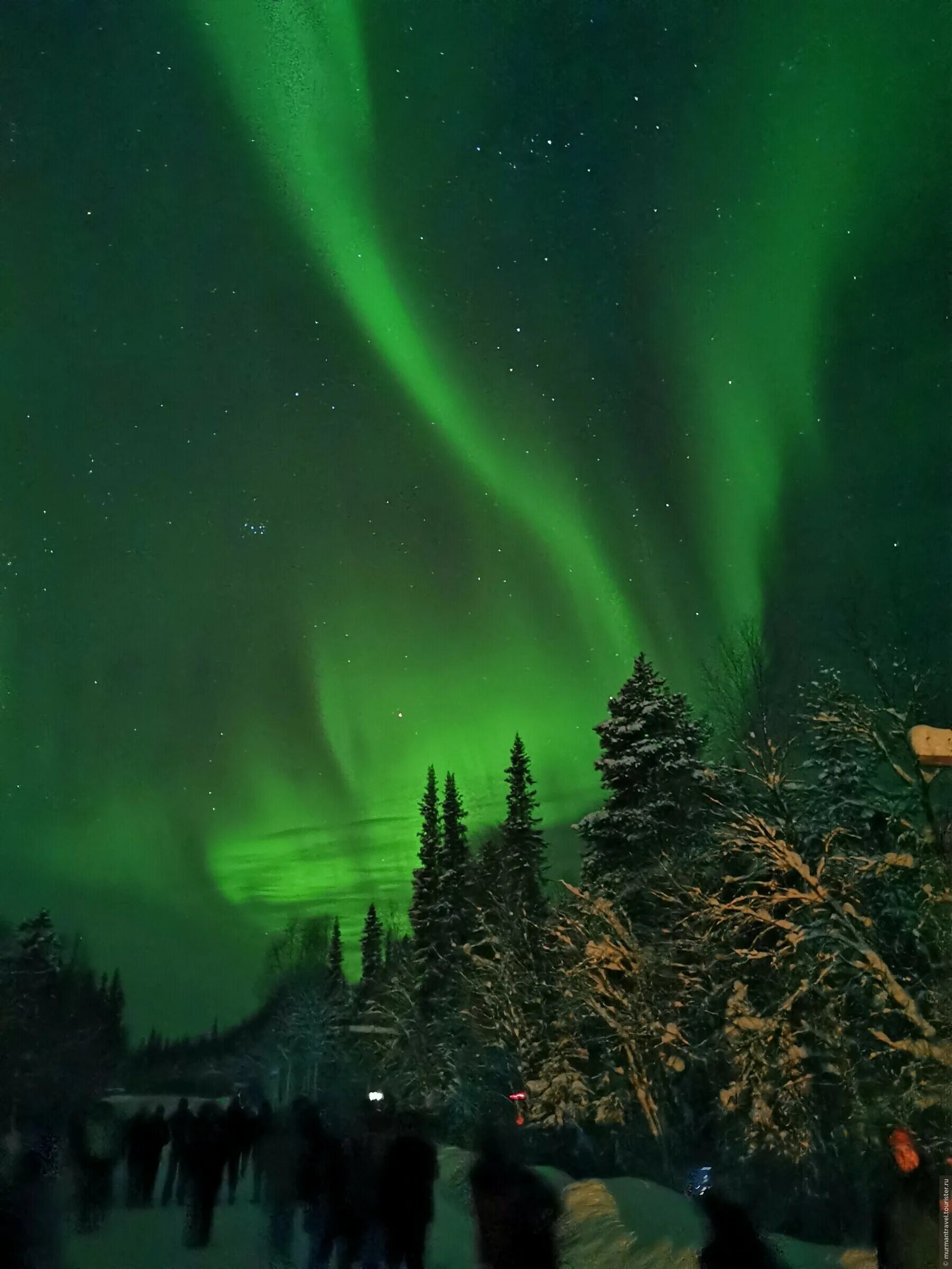 северное сияние в мурманске 2022. мурманск северное сияние полярный. северное сияние кольский полуостров. северное сияние архангельск 2022. северное сияние над финским заливом.
