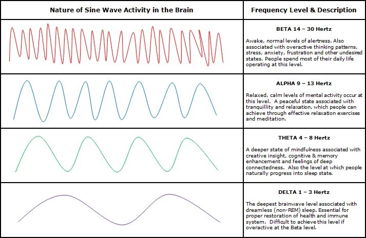 Brain wave. Types of brain waves. brainwave states. delta wave activity in the brain.. brainwave английский язык.