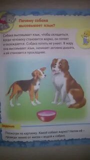 Почему собака высовывает язык