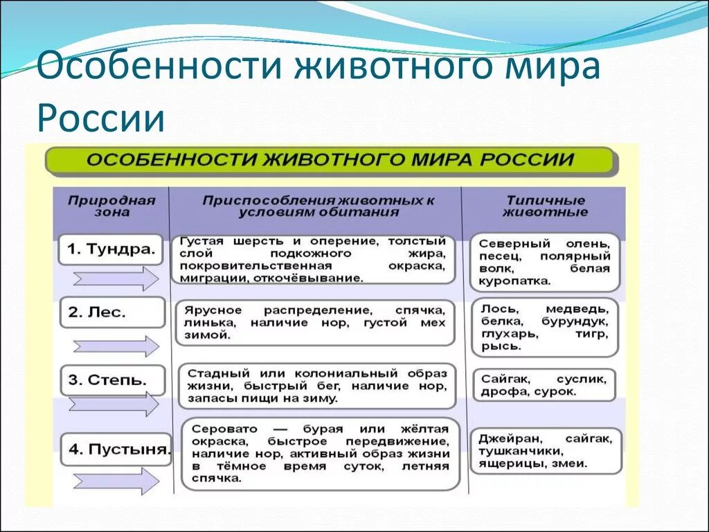 Растительный и животный мир России таблица 8.