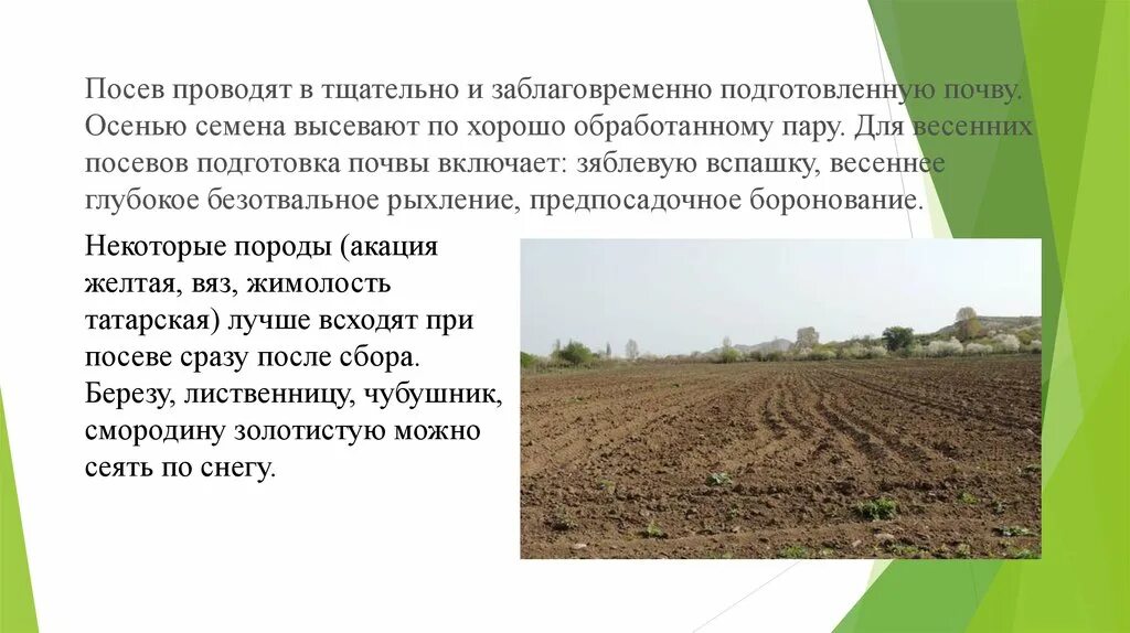 Проводить посевы