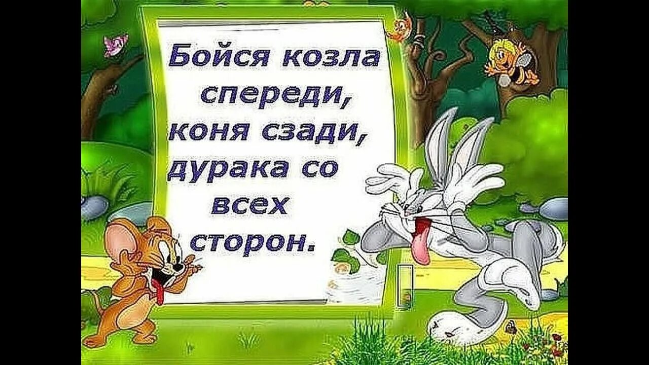 Бойся дурака со всех сторон. Бойся коровы спереди а лошади. Бойся козла спереди. Корова. Бойся коровы спереди а лошади.
