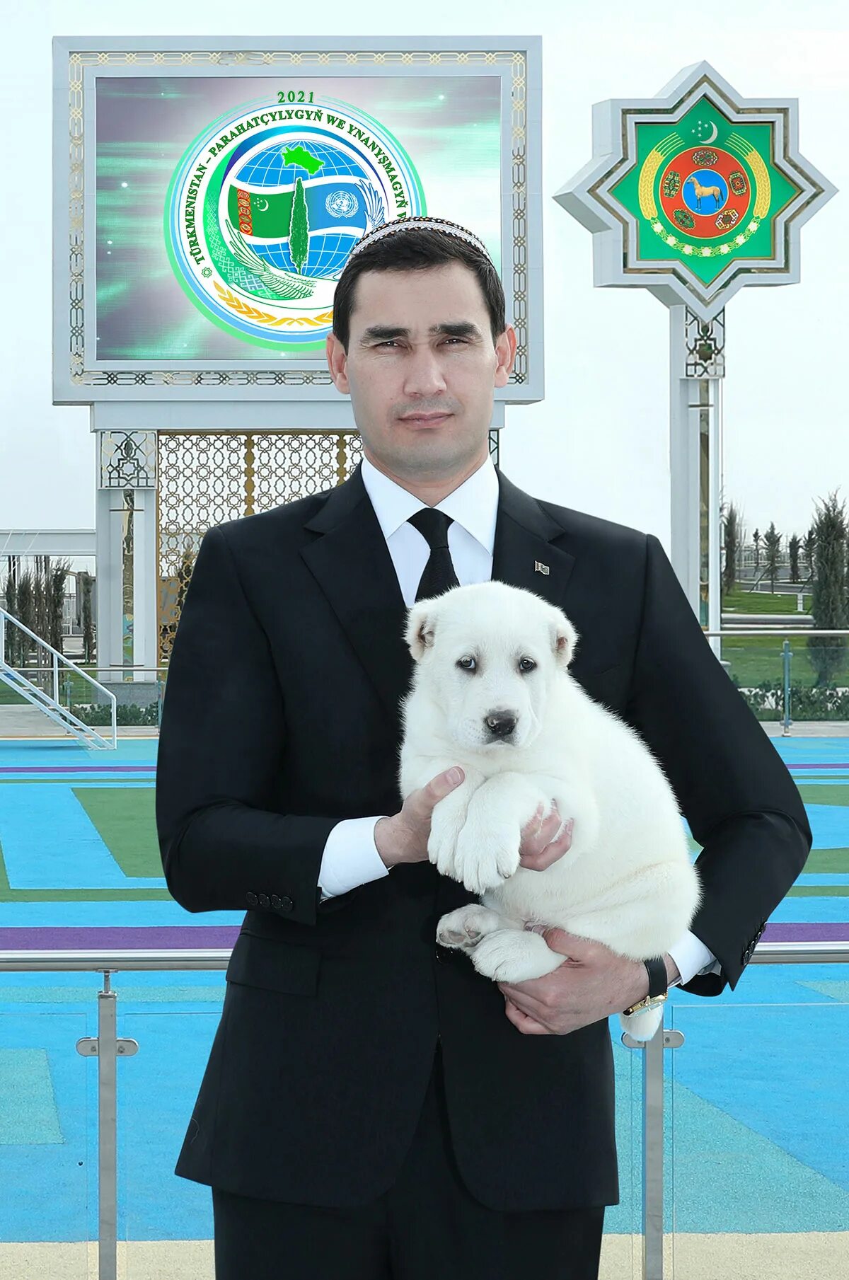 Туркменский алабай ашхабад. Сердар бермухамедов алабаи. сердар бердымухамедов алабай.