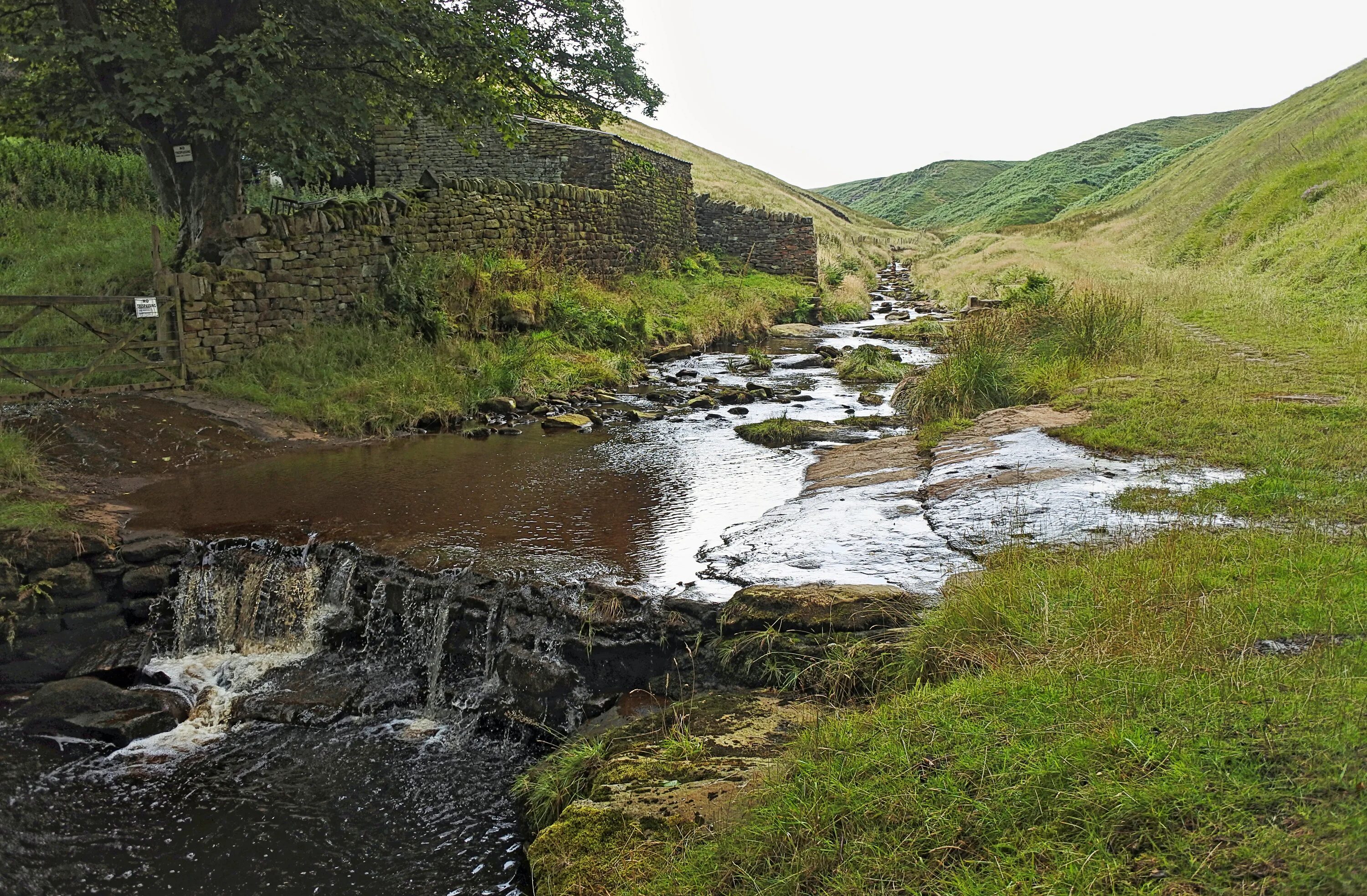 Речной природный заповедник байер. Source of the river. Река кагера в африке. Озеро блаутопф. Source of the river.