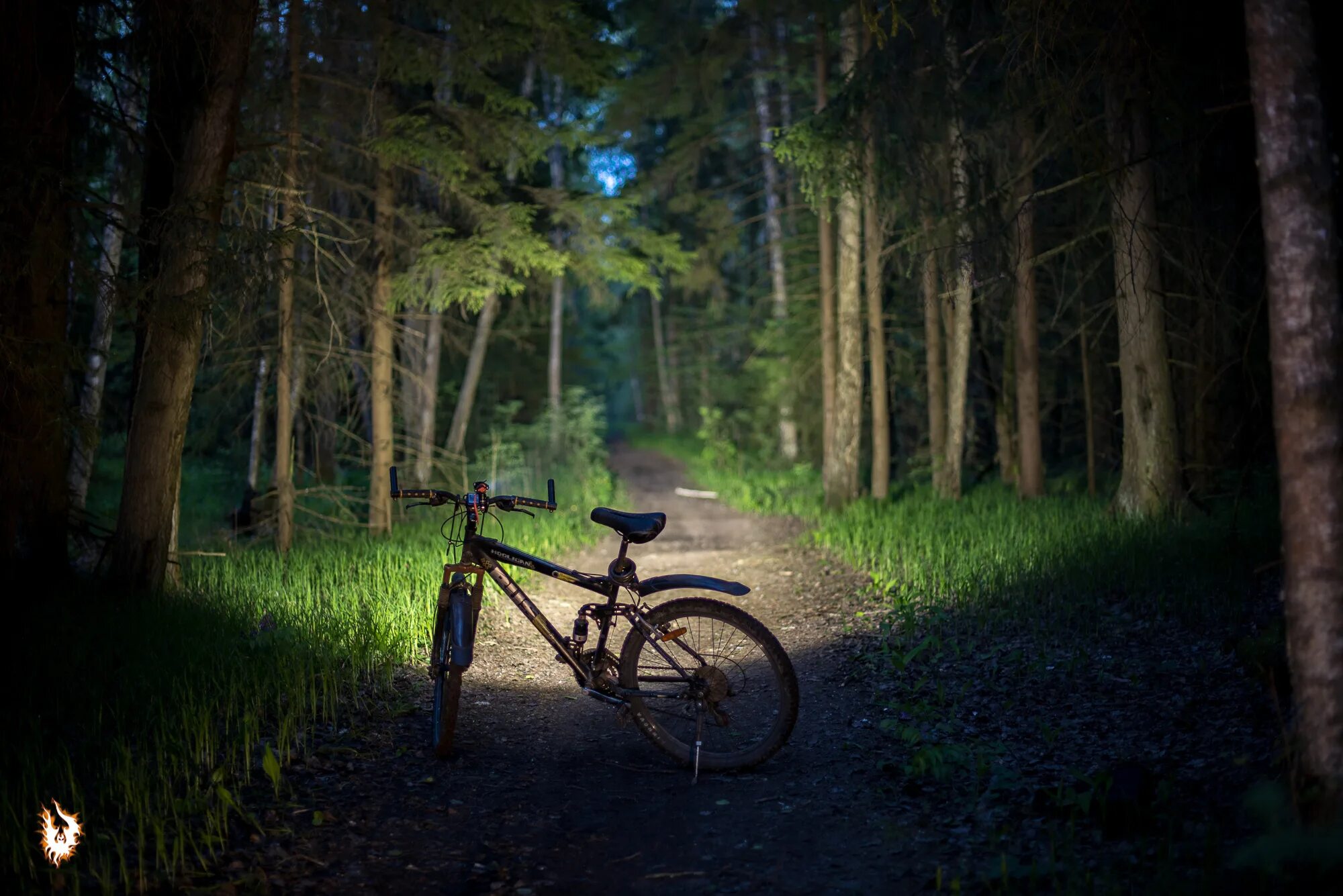 Лес велосипедист. Ночная велопрогулка по лесу. Лесная дорога велопрогулка. Велосипед палатка лес. ВЕЛОБАЙК В лесу.