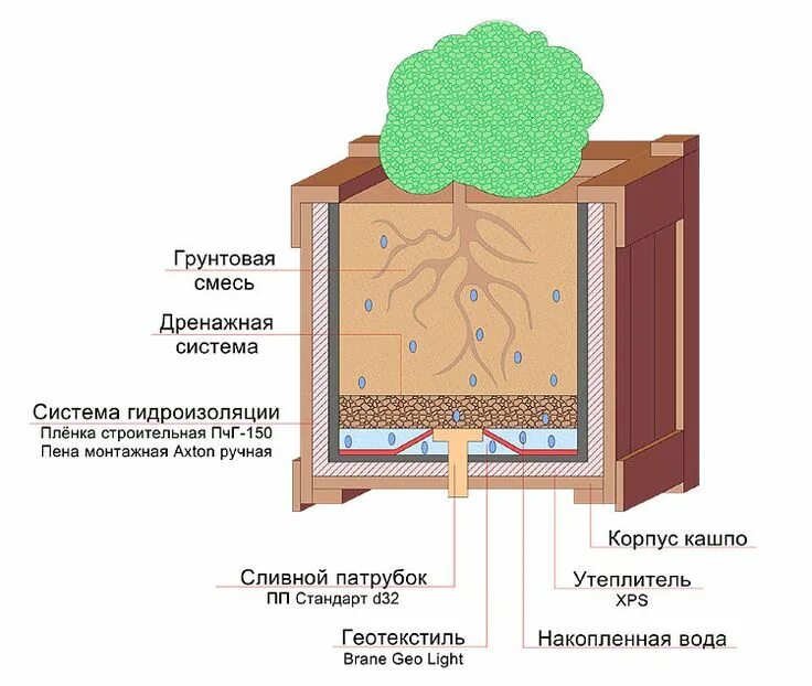 Деревья дренаж
