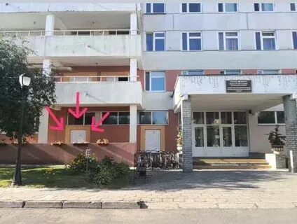 Платные услуги гродно