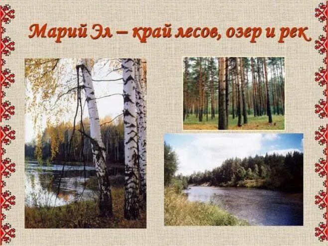 Разнообразие природы марийского края проект 3 класс Картинки КРАСНАЯ КНИГА МАРИЙ ЭЛ ЖИВОТНЫЕ