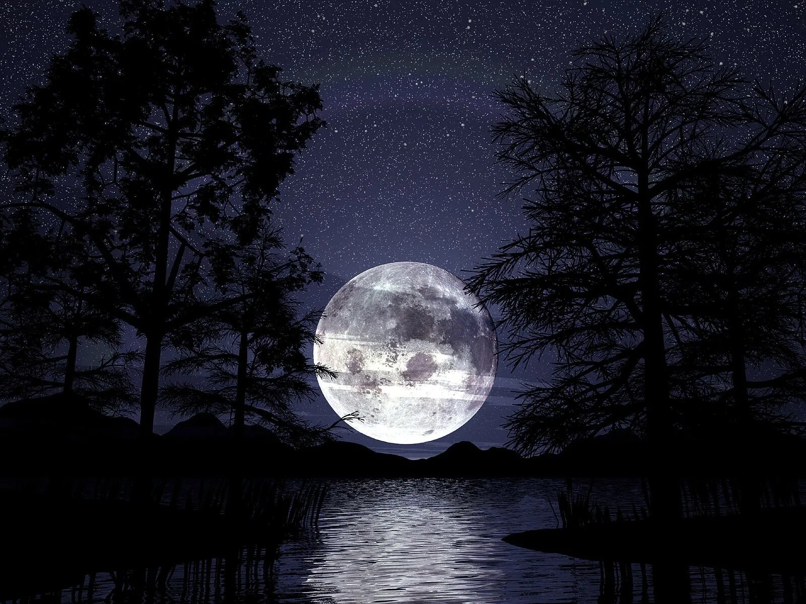 Лунная ночь. Ночь Луна. Пейзаж ночь. Пейзаж с луной. Спокойной ночи темные ночи