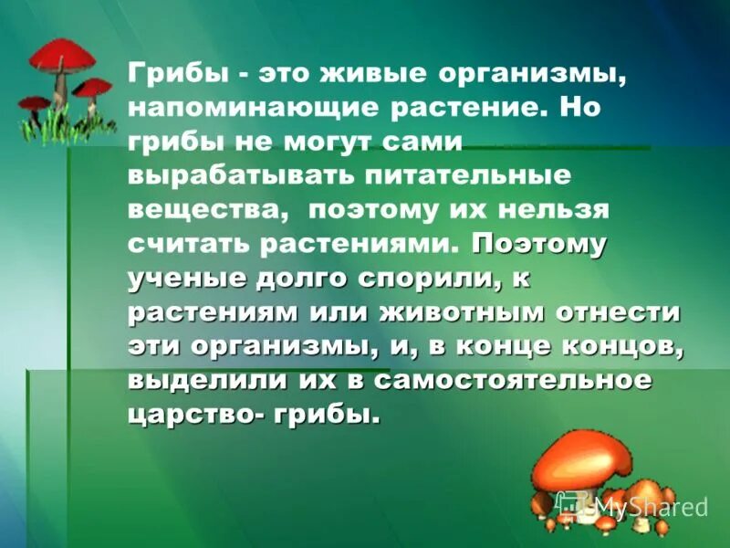 Сочинение на тему красота грибов. Сообщение о грибах 3 класс окружающий мир. Доклад по окружающему миру 3 класс на тему грибы. Царство грибов 3 класс окружающий мир. Проект царство грибов 3 класс окружающий мир.