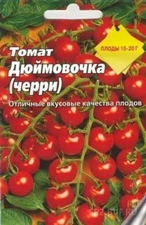Томат дюймовочка