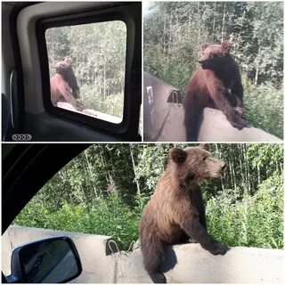 Я живу в лесосибирске