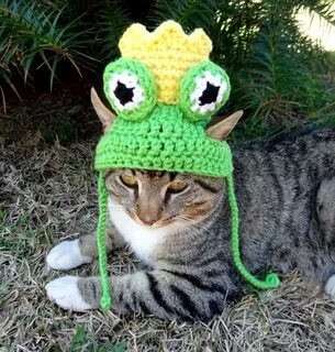 Котик в шапке лягушки из бисера