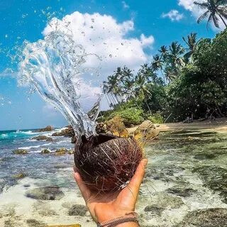 Наша ланка шри ланка инстаграм