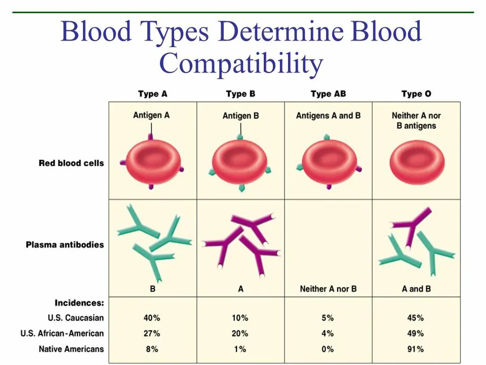 Blood eng. Как по английски будет кровь. Blood plus karl mask. Blood blood группа. Ab blood type.