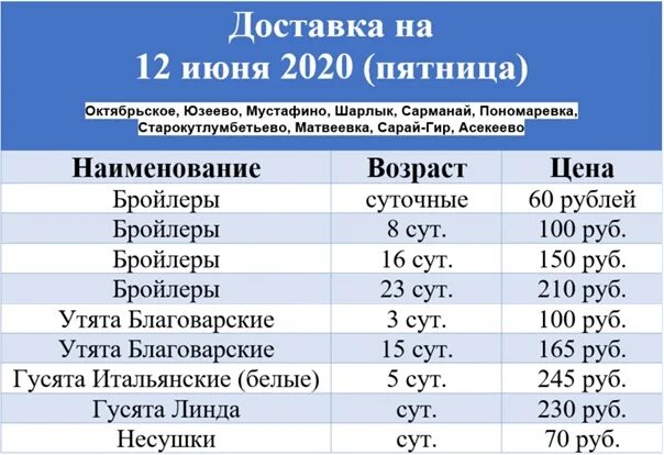 Автобус Ермолаево Кумертау. График автобуса Кумертау Ермолаево. Расписание автобусов Кумертау Ермолаево. Расписание автобусов Кумертау Ермолаево 102.