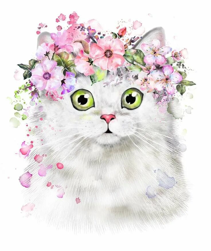 Котик с цветами акварель. Котик с цветочком. Кошечка иллюстрация. Кошка рисунок. Рисунок кота с цветами