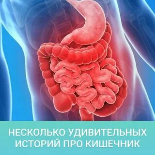 Хорошая работа жкт