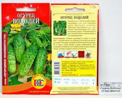 Сорт огурцов водолей