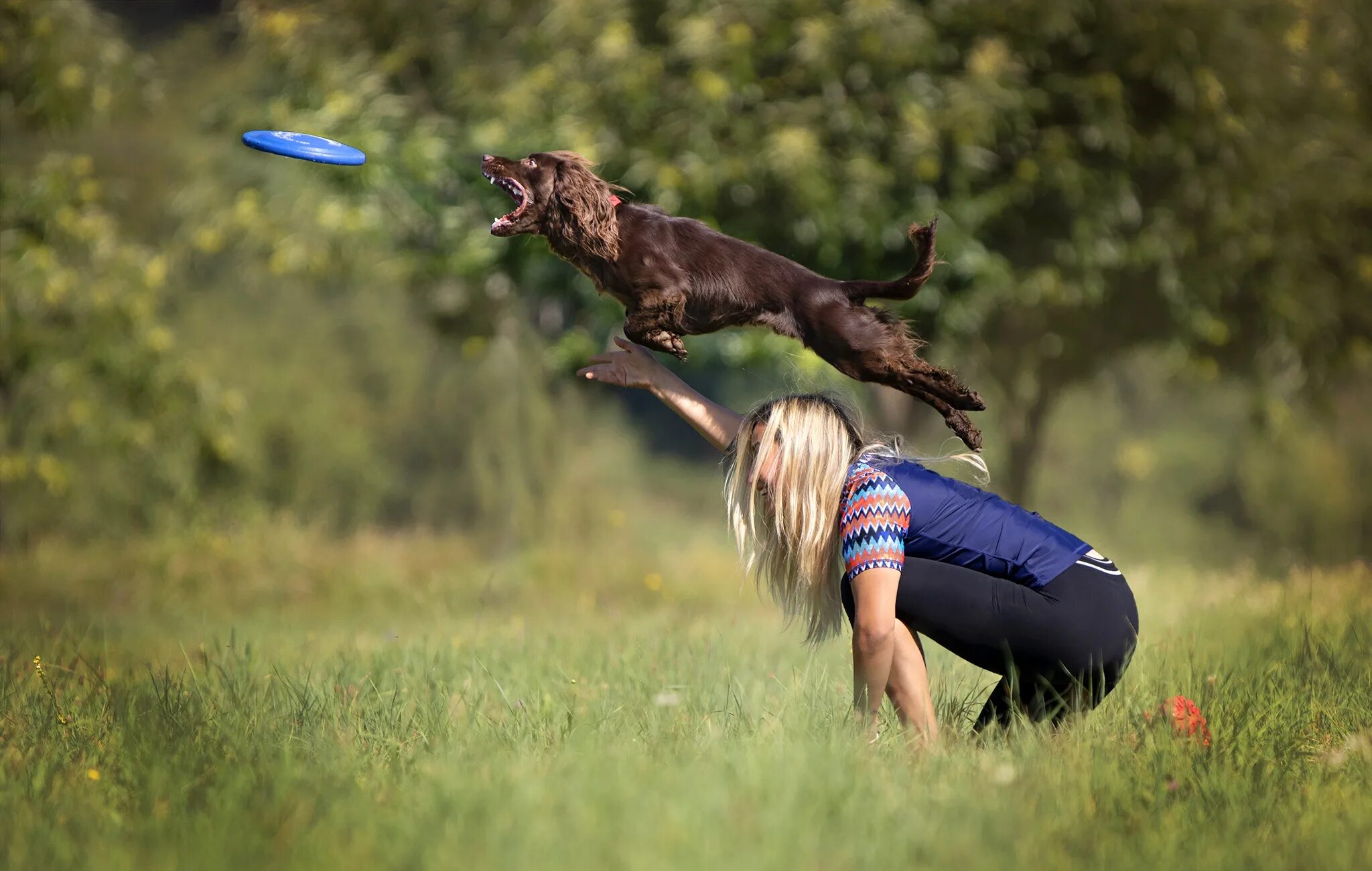 Собака прыгает на девочку. Собака прыгает на девушку. Собака зож. Андрей селиверстов фотограф дети с собаками. Собака прыгает на девушку.