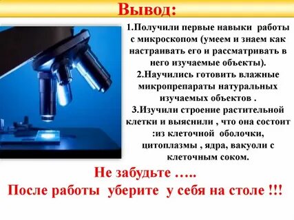 Микроскоп вывод