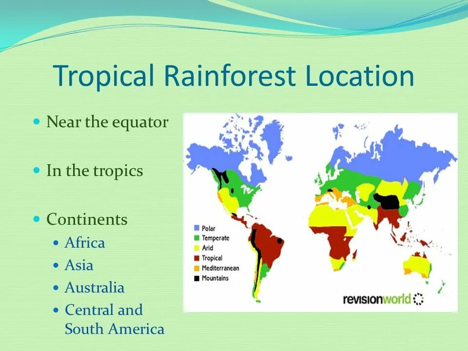 Тропикал Раинфорест. Tropical Rainforest кластер. Tropical Rainforests location. Rainforest Tropical Forest.