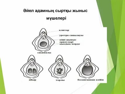 Шәует пен әйел шырынымен жабылған қынаптың жақыннан түсірілген порносы