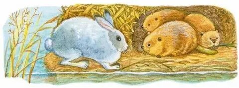 Рисунок листопадничек