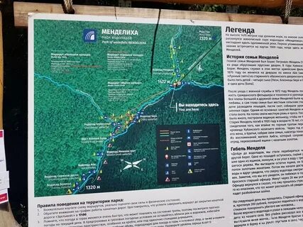 Менделиха красная поляна отзывы