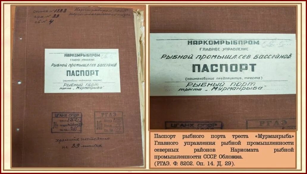 кандидатская диссертация картинки. написание диссертации книга. научные труды и диссертации. обложка автореферата диссертации. результат положение на защиту диссертации.