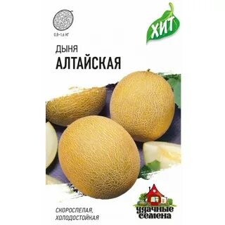 Дыня алтайская описание сорта